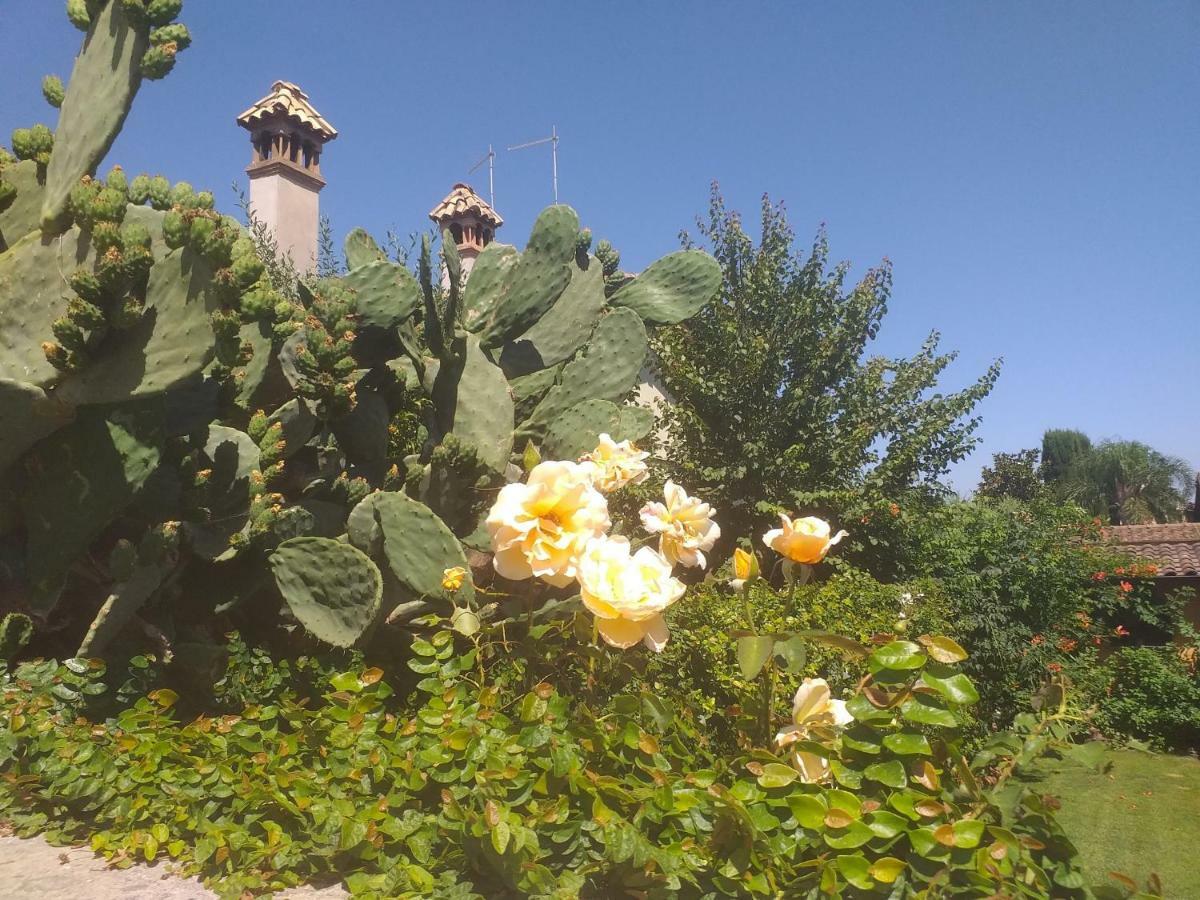 Villa Vittorio Infernetto 외부 사진